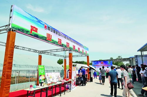 西安奢侈品店叫什么
